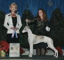 Destiny Pursuit of Happiness at Nysa Hill (Percy) Sweeps WD all 3 Days at Long Beach Dec 2010.