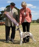 Desty Goes Runner Up Best in Show Under Judge Miles Gunter. Presented by Co-Owner Yvonne Barter (Satang).