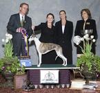 Renowned worldwide whippet breeder-judge and author Bo Bengston (left) honors Moxi with her second National Specialty Best in Show  in Boston, 2006.