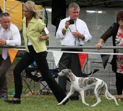 Desty at her first Royal with owner-handler Yvonne Barter. Looking on are co-owner Ray Barter and Pauline Hewitt.