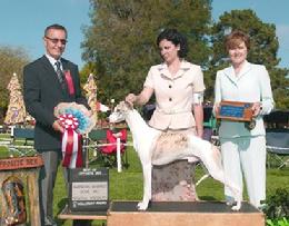 Grand Champion AWC SBOS Destiny Pursuit of Happiness at Nysa Hill.  Respected Breeder-Judge Thomas Munch (Flic-Flac, Ger), Co-Breeder Taylor Wilkinson Tyler, and Show Chair Pamela Magette.
