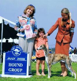 "Teak" - Endeavor's Intrigue at Nysa Hill, wins Puppy Group First at 9 months.