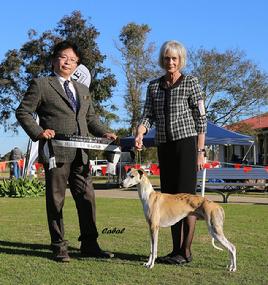Best in Group Ch Nysa Hill Satang Firedance of Maverick. Photo by  Barbara Kilworth.
