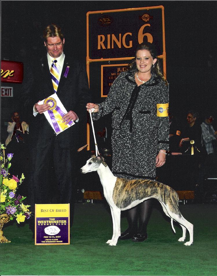 Judge Mr. Randy E. Garren awards Am Can Ch Brushwood's Moxi of Endeavor Best of Breed at the Westminster Kennel Club 2007.
